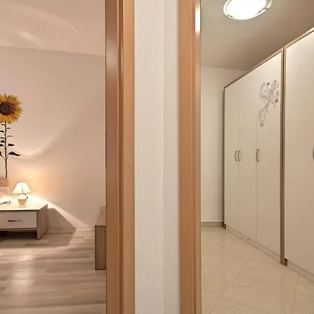 Apartment Zlatna